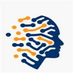 Digital Professionals 